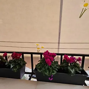 Appartement Center, Tirana